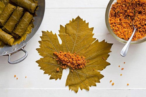 دلمه برگ مو