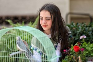 فیلم کوتاه «هم قفس»