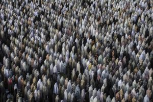 عکس «خوشبختی» از امیرمهدی نجفلو شهپر
