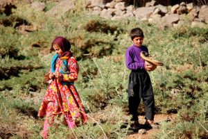 مستند «آشو» ساخته جعفر نجفی و خبر خوب کسب جایزه از جشنواره المپیا در یونان