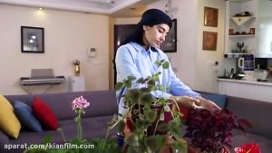 فیلم مستند موج یا ذره ساخته علیرضا رحمان طلب درباره فیزیک کوانتوم